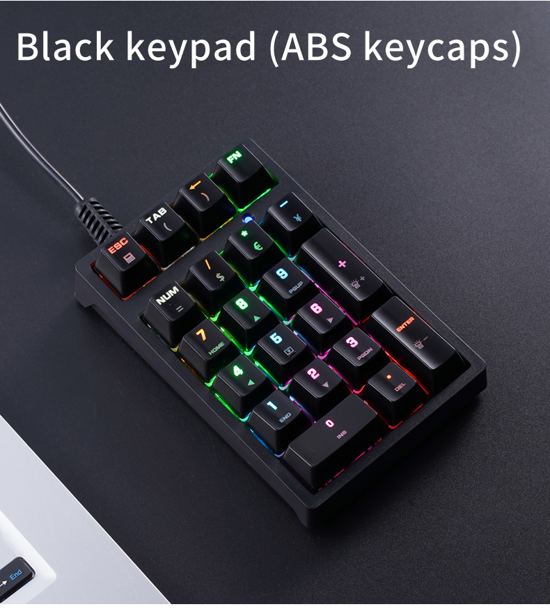 T21 APAYADO Wired Numeric Keyp - Keyboard Numpad Separate 评论和价格